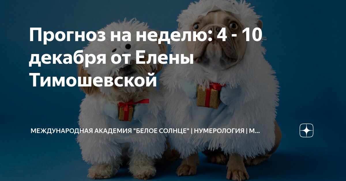 Прогноз на неделю: 4 - 10 декабря от Елены Тимошевской | Международная ...
