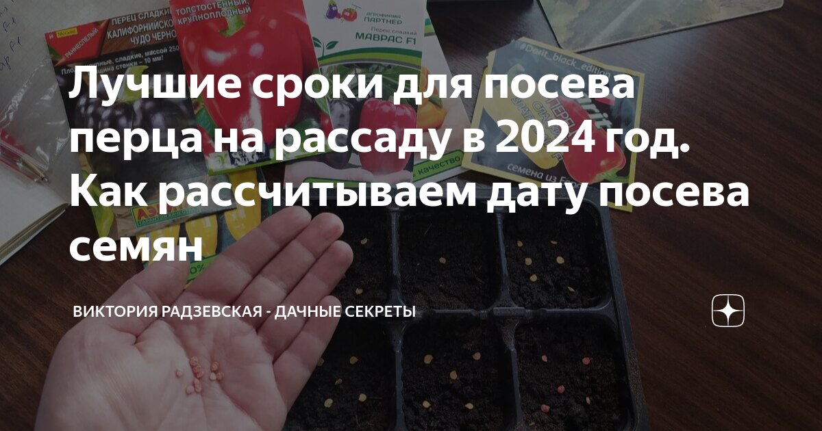 Лучшие сроки для посева перца на рассаду в 2024 год. Как рассчитываем ...