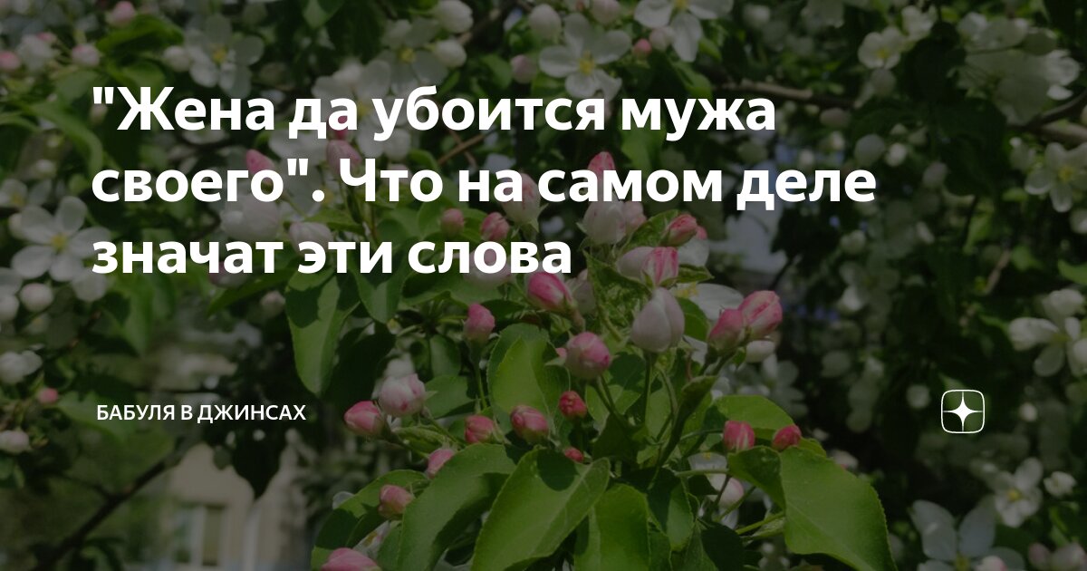 "Жена да убоится мужа своего". Что на самом деле значат эти слова ...