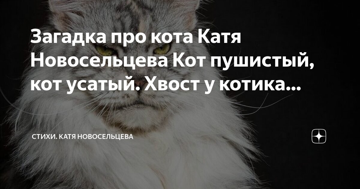 Пушистые коты текст. Пушистый кот предложение. Предложение про кота.