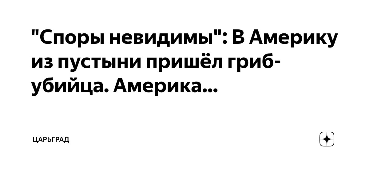 "Споры невидимы": В Америку из пустыни пришёл гриб-убийца. Америка ...