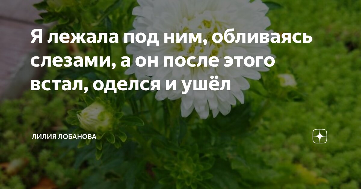 Миша встал с дивана оделся и вышел из дома текст