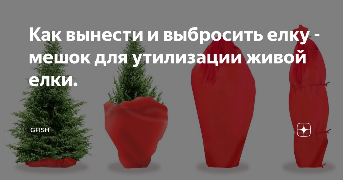 Как вынести и выбросить елку - мешок для утилизации живой елки. | GFish ...