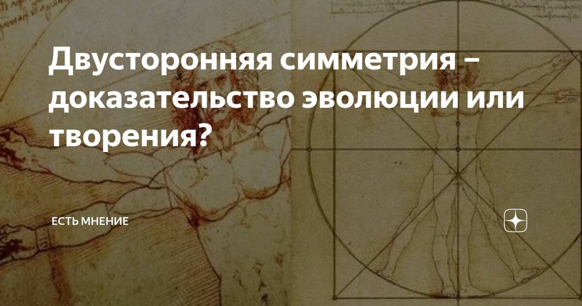 Двусторонняя симметрия – доказательство эволюции или творения? | Есть ...