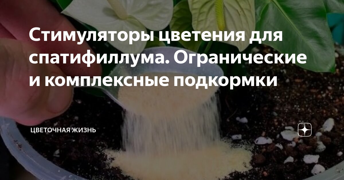 Стимуляторы цветения для спатифиллума. Огранические и комплексные ...