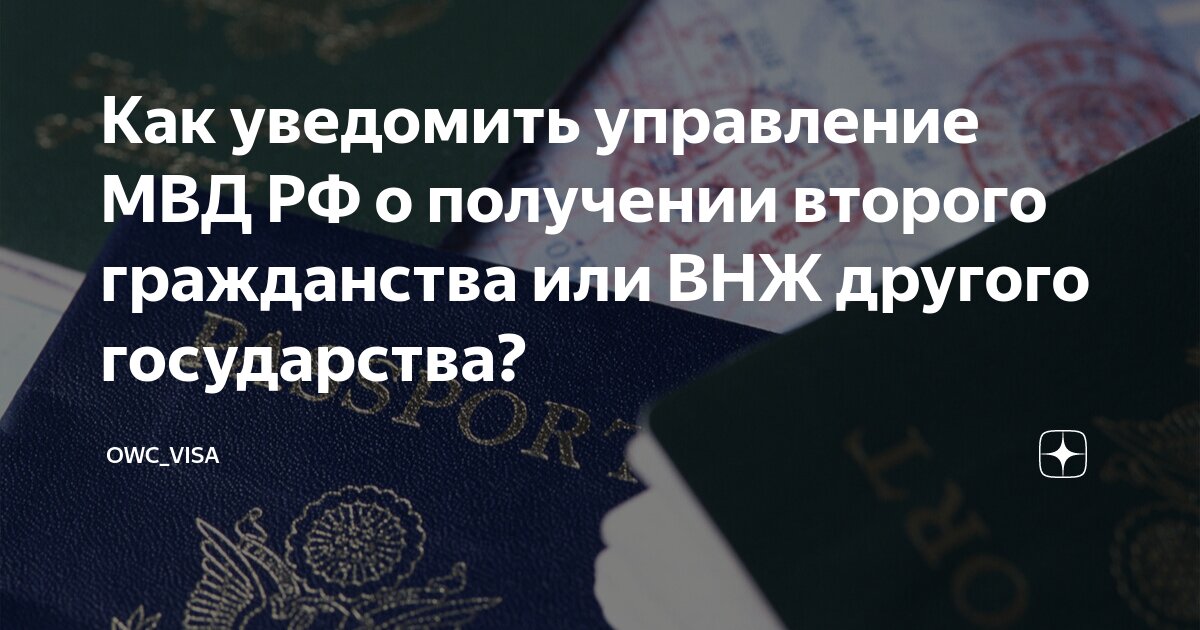 Как сообщить о втором гражданстве. Как сообщить о втором гражданстве