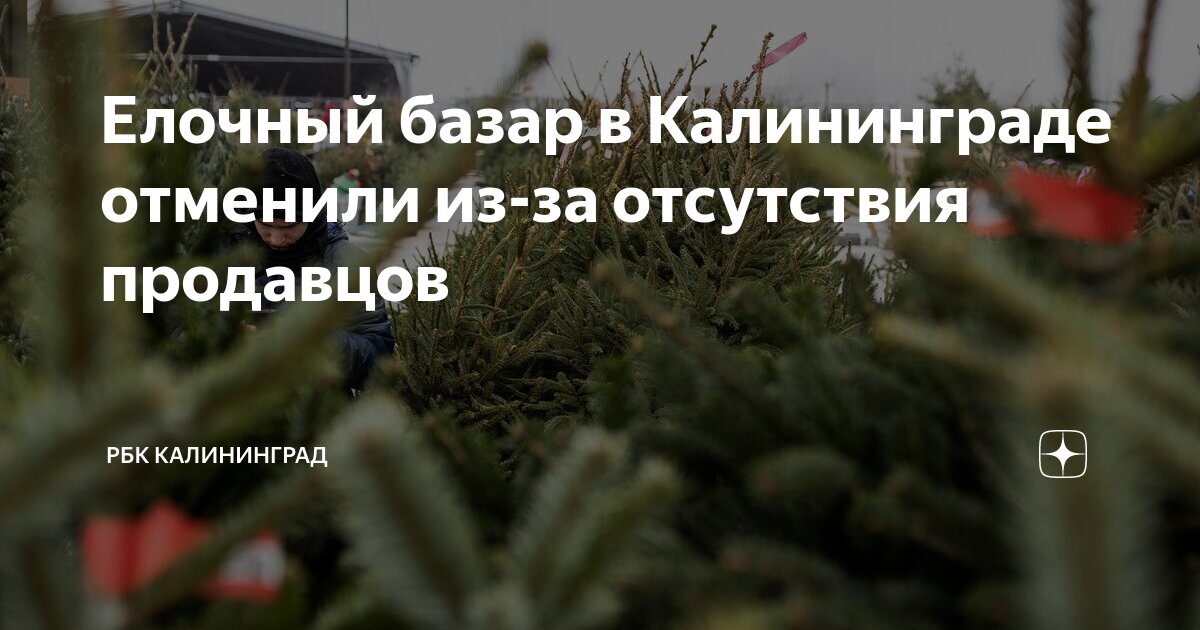 европейский базар калининград
