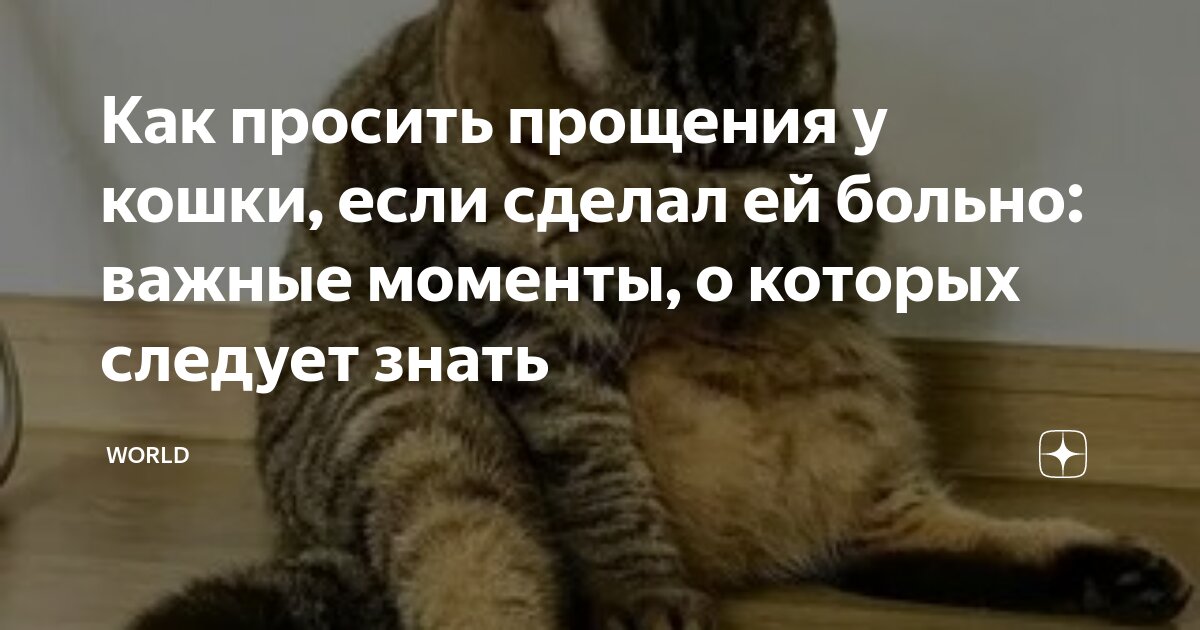 Раздел 1: Понимание кошачьих эмоций