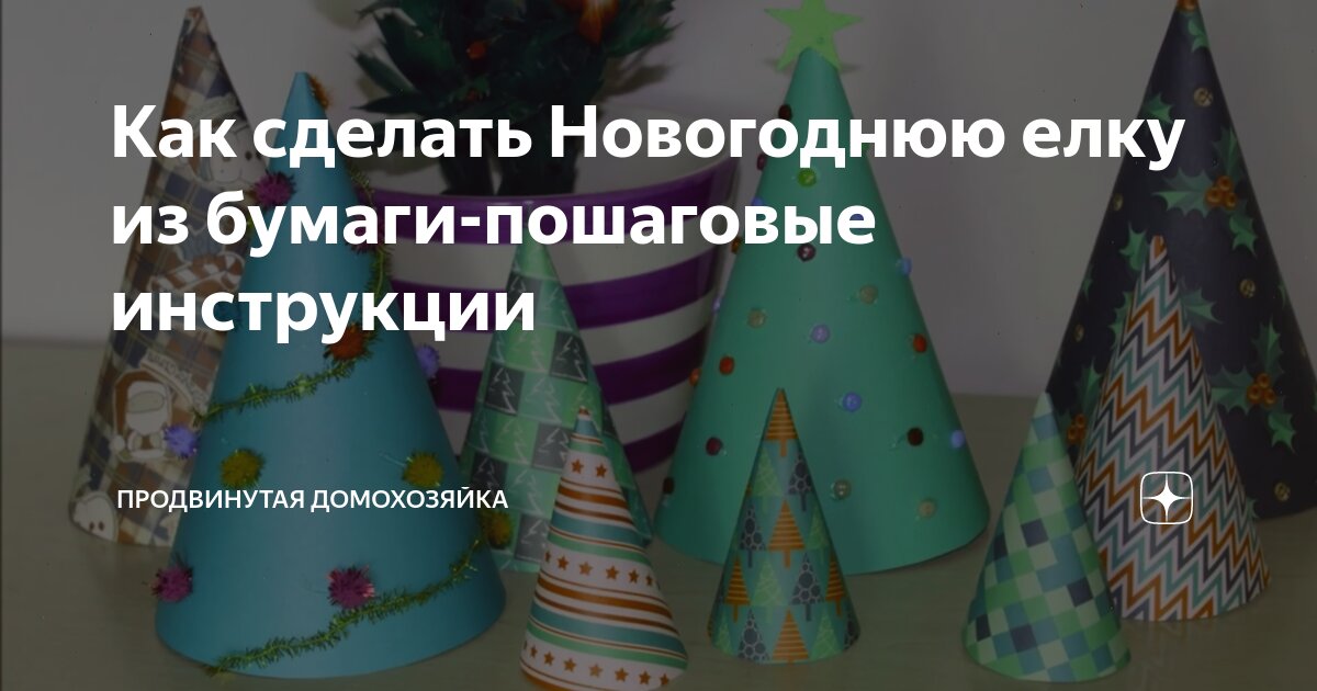 Как вырастить елку в домашних условиях: пошаговая инструкция