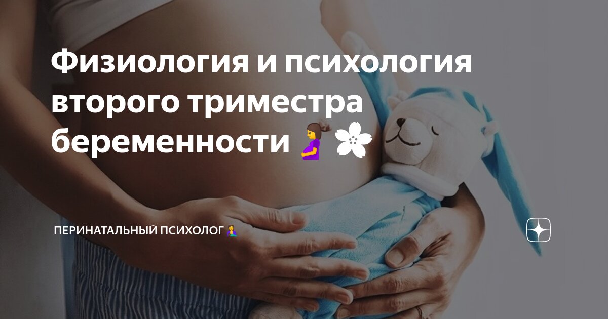 Физиология и психология второго триместра беременности🤰🌸 ...