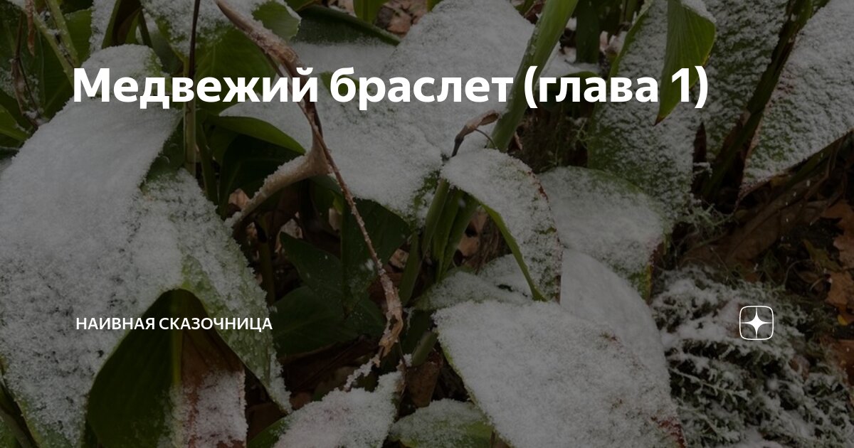 Медвежий браслет (глава 1) | Наивная сказочница | Дзен
