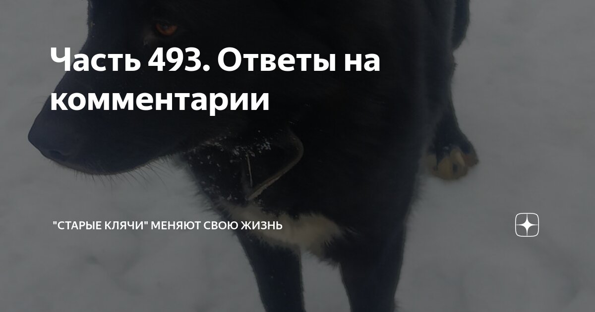 Часть 493. Ответы на комментарии | "Старые клячи" | Дзен