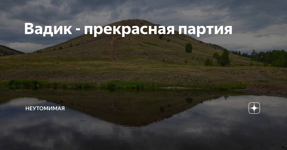 Вадик - прекрасная партия | Неутомимая | Дзен