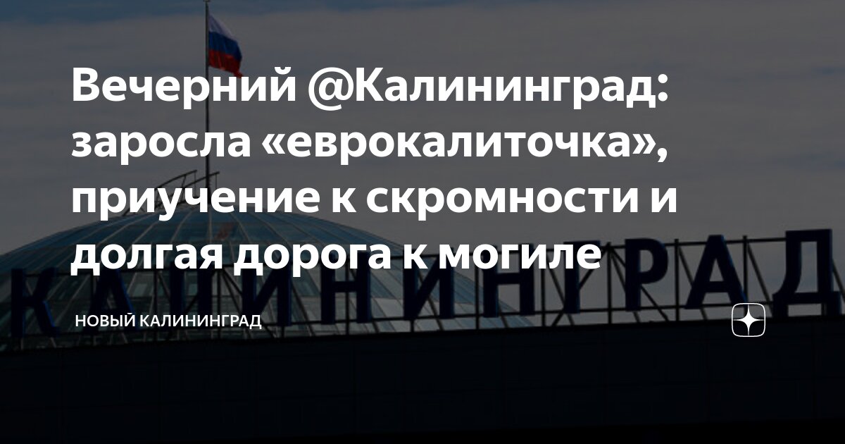 Вечерний @Калининград: заросла «еврокалиточка», приучение к скромности ...