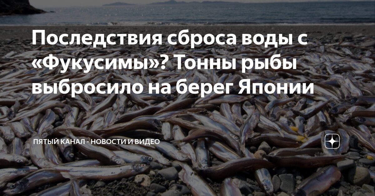 Почему рыба выплевывает корм