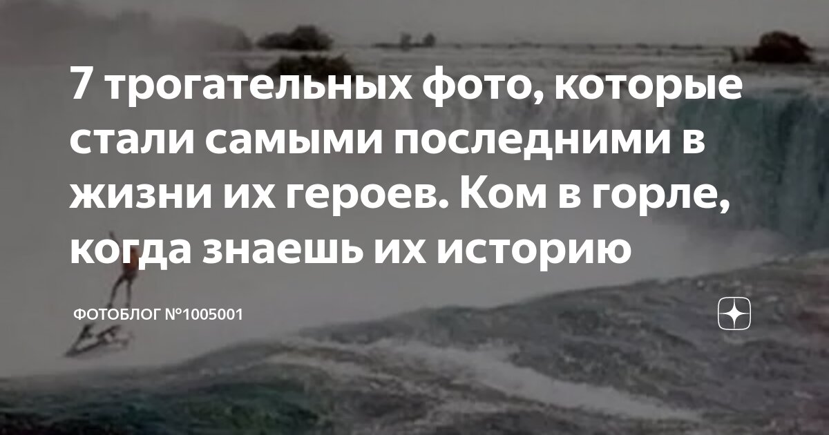7 трогательных фото, которые стали самыми последними в жизни их героев ...