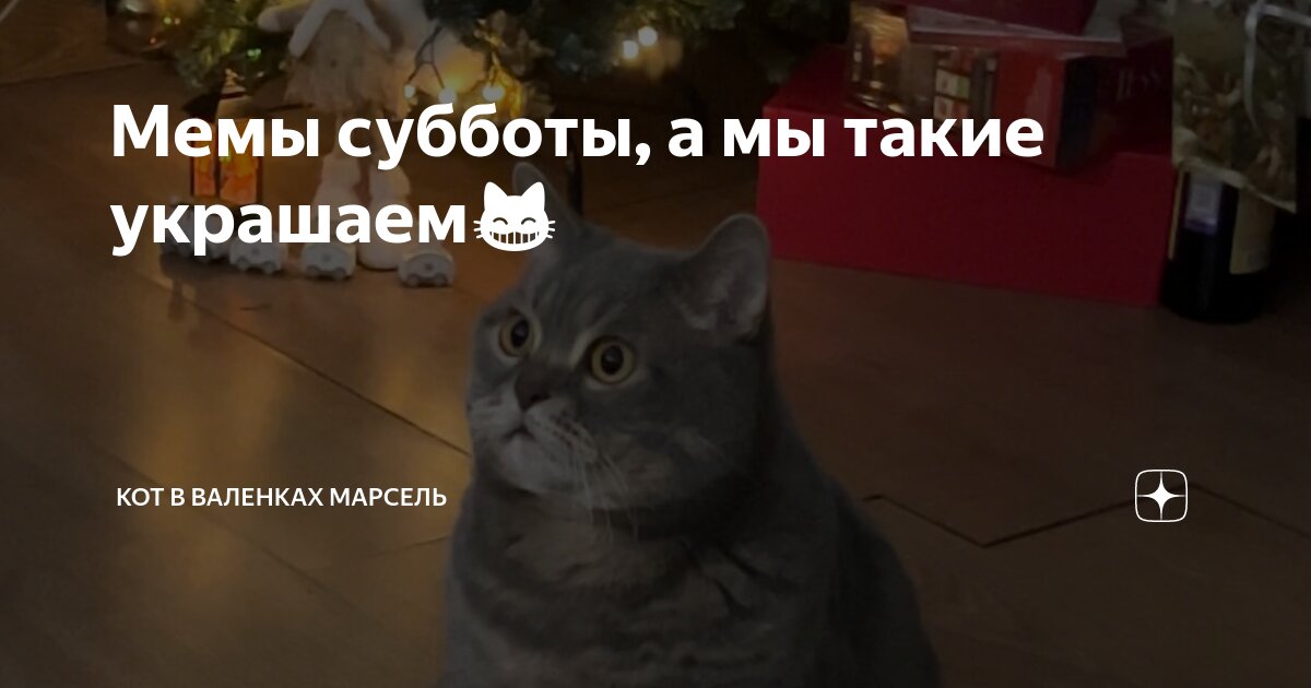 Мемы субботы а мы такие украшаем😸 Кот в валенках Марсель Дзен