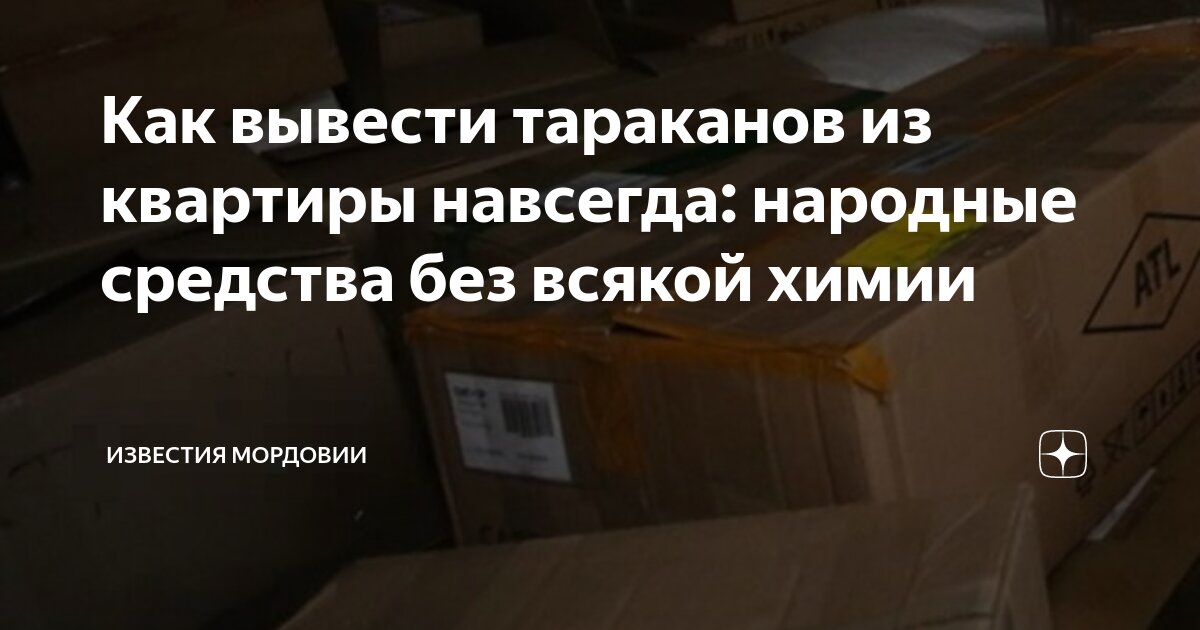 Как вывести тараканов из квартиры навсегда: народные средства без ...