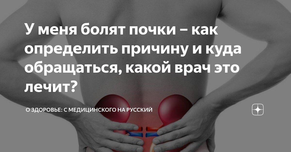 Где болит, когда болят почки? Рассказывает эксперт