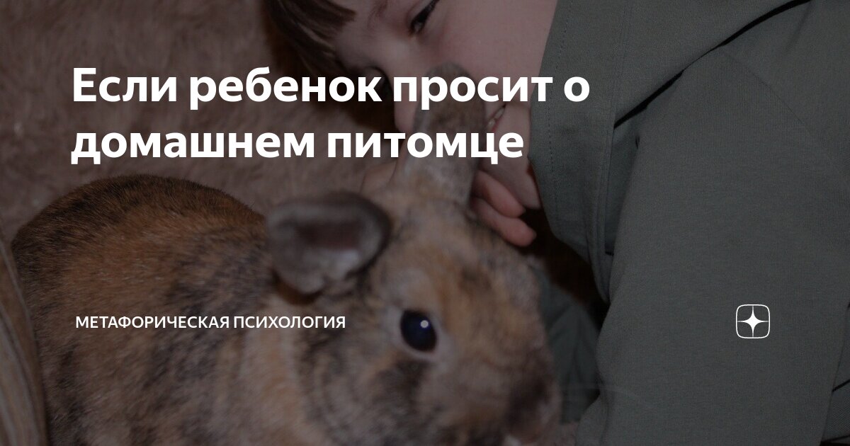 Если ребенок просит о домашнем питомце | Метафорическая психология | Дзен
