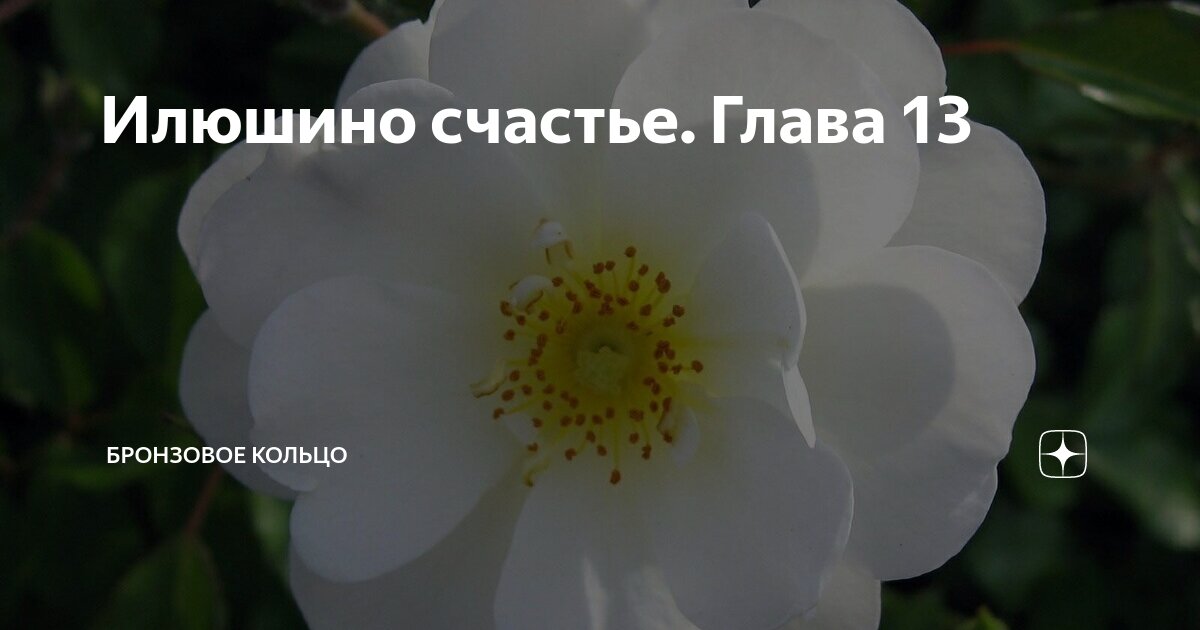 Илюшино счастье. Глава 13 | Бронзовое кольцо | Дзен