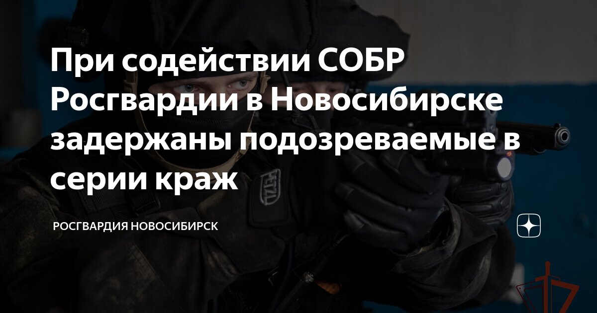 При содействии СОБР Росгвардии в Новосибирске задержаны подозреваемые в