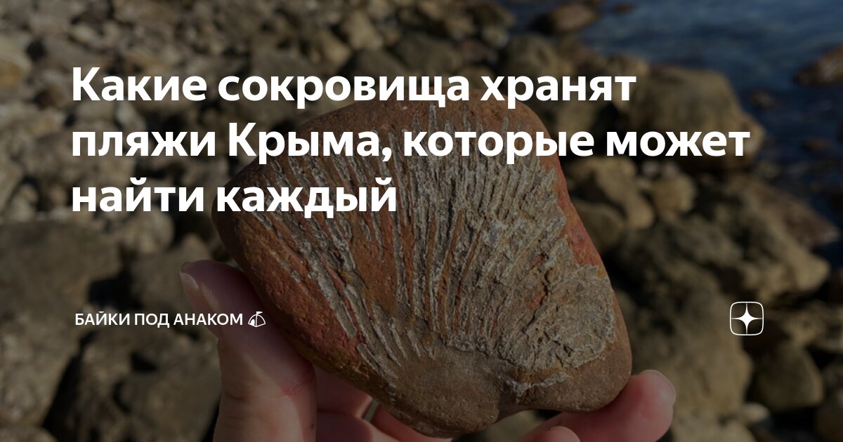 Какие сокровища хранят пляжи Крыма, которые может найти каждый | Байки ...