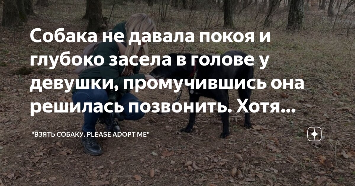 песня засела в голове