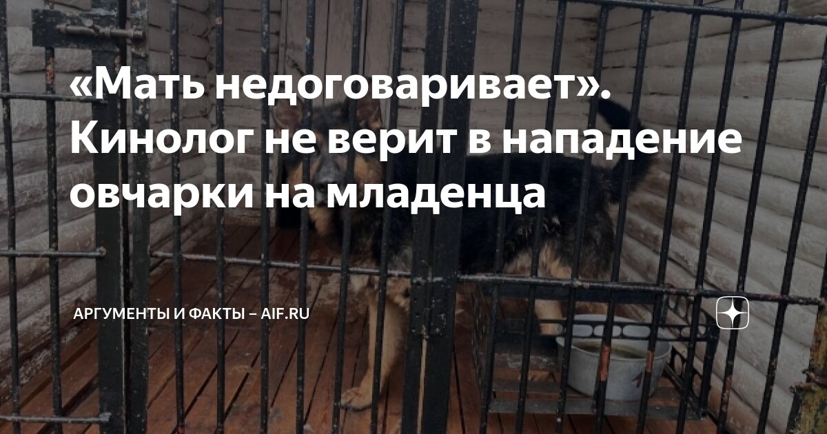 «Мать недоговаривает». Кинолог не верит в нападение овчарки на младенца ...