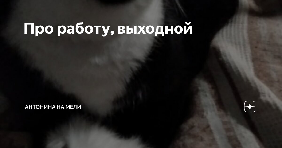 Про работу, выходной | Антонина на Мели | Дзен