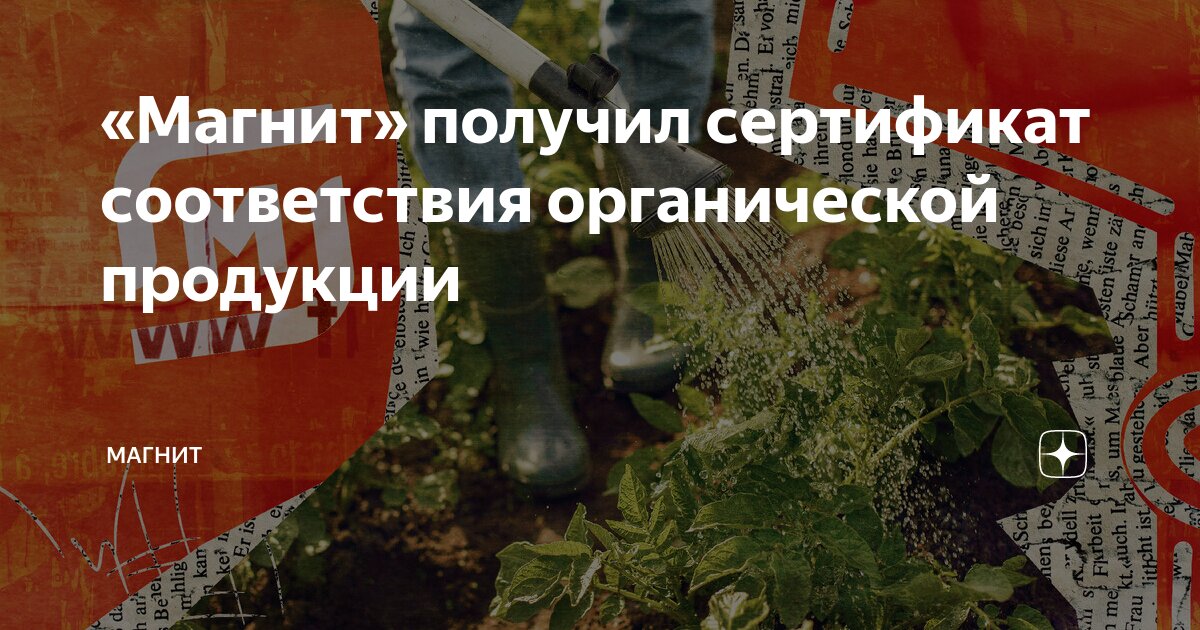 «Магнит» получил сертификат соответствия органической продукции ...