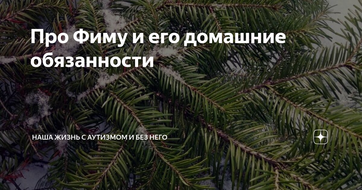 Про Фиму и его домашние обязанности | Наша жизнь с аутизмом и без него ...