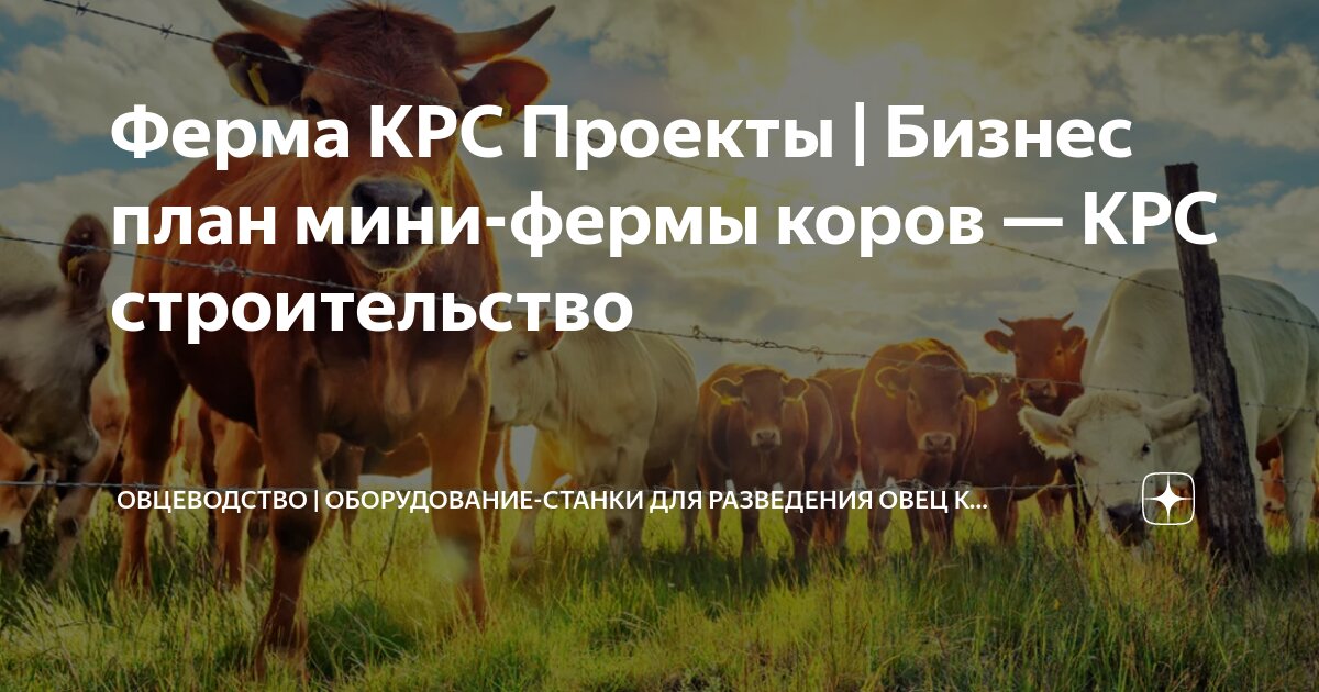 Бизнес-план и проект фермы для коров, стоимость и как построить своими руками