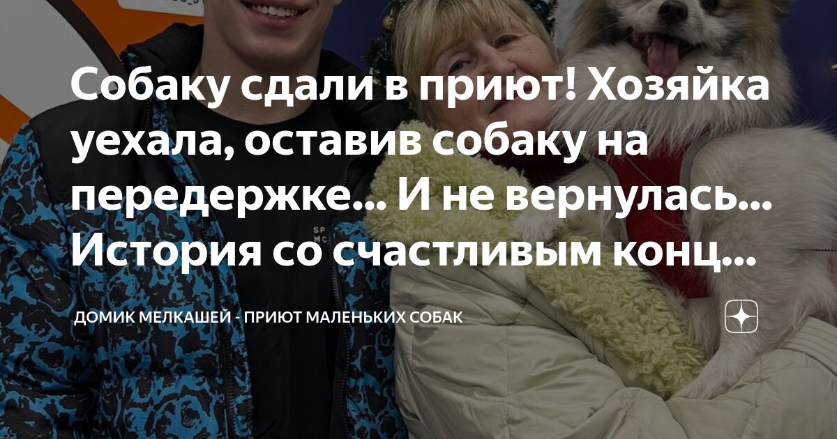 Однажды хозяйка уехала по делам и забыла что у нее на кухне осталась кошка изложение