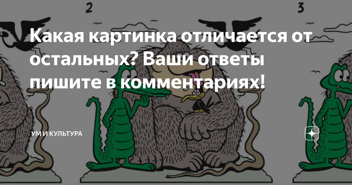 Какая картинка отличается от остальных? Ваши ответы пишите в ...