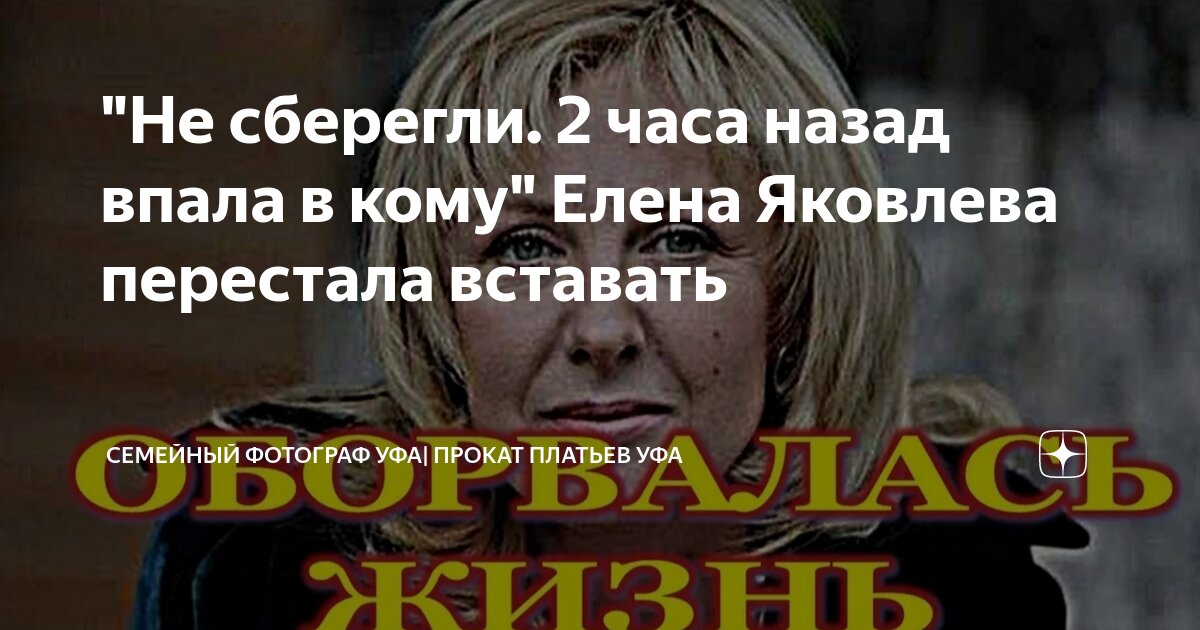 https://dzen.ru/a/ZXoK807wtH9wfcQj
