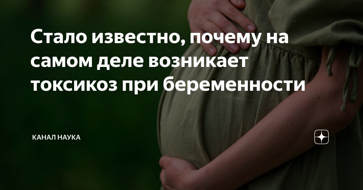 Стало известно, почему на самом деле возникает токсикоз при ...
