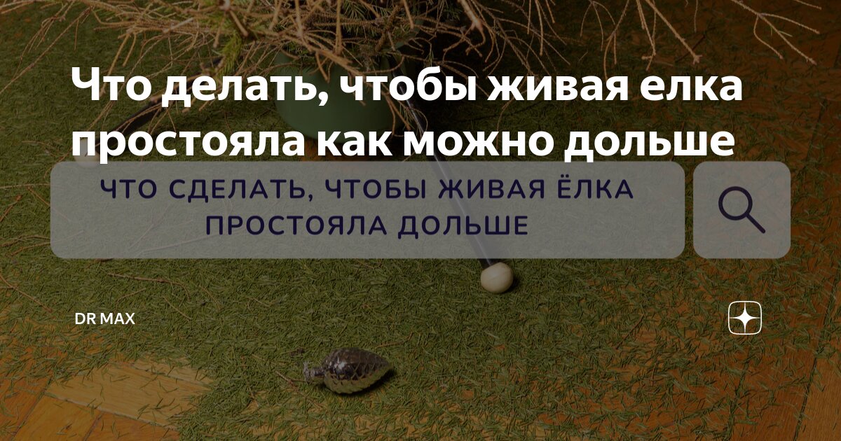 Что сделать, чтобы живая елка простояла дольше?