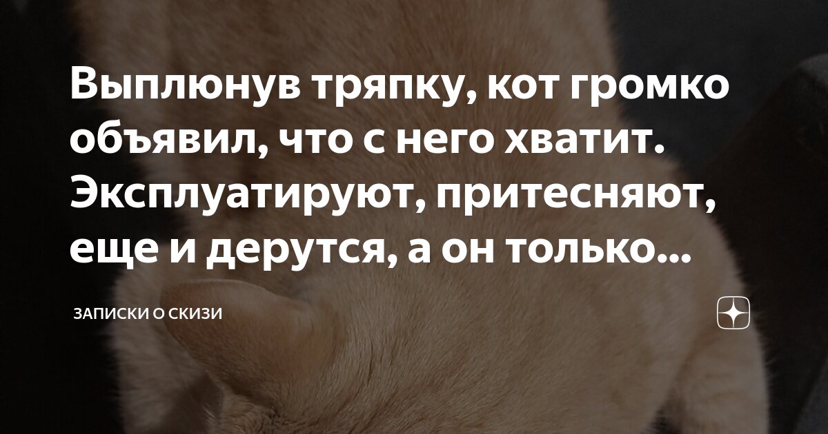 Выплюнув тряпку, кот громко объявил, что с него хватит. Эксплуатируют ...