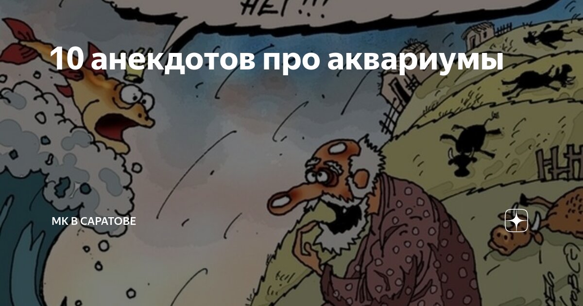 10 анекдотов про аквариумы | МК в Саратове | Дзен