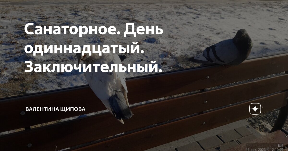 Санаторное. День одиннадцатый. Заключительный. | Валентина Щипова ...