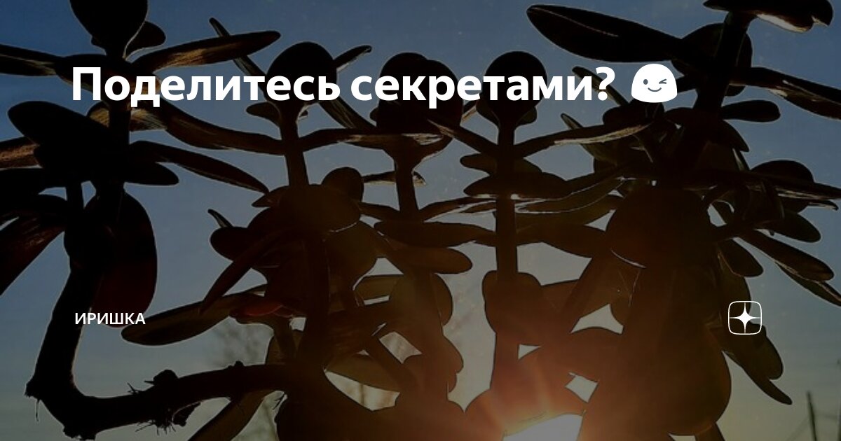Поделитесь секретами? 😉 | ИРИШКА | Дзен