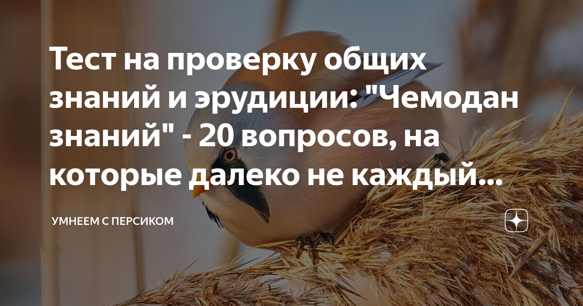 Тест на проверку общих знаний и эрудиции: "Чемодан знаний" - 20 ...