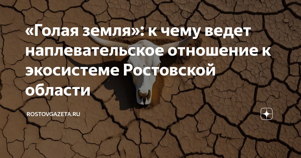 Дело престижа: от чего в Мангистауской области происходит падёж скота - Караван | Караван