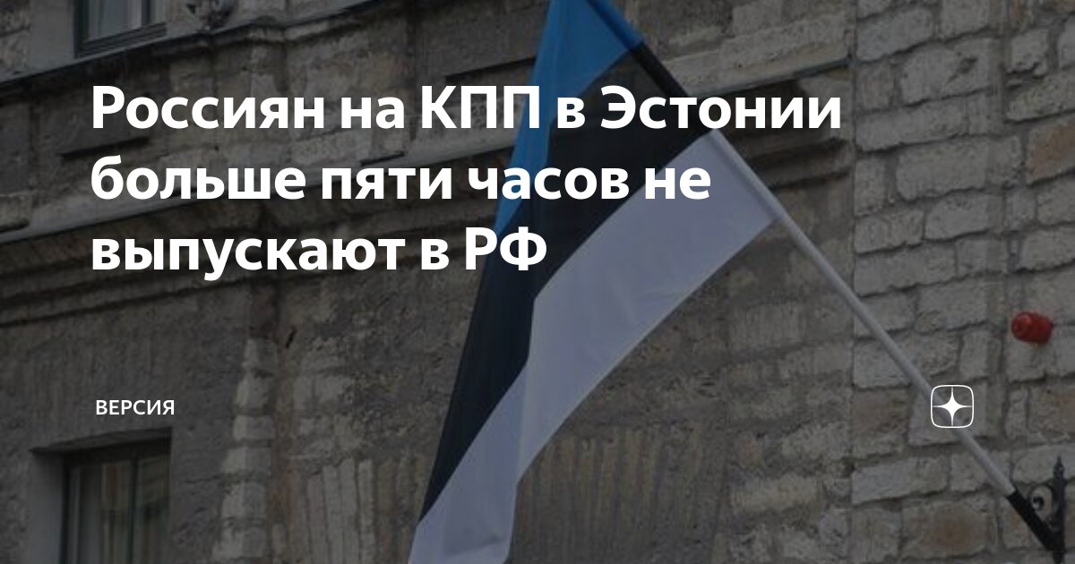 Россиян на КПП в Эстонии больше пяти часов не выпускают в РФ | Версия ...