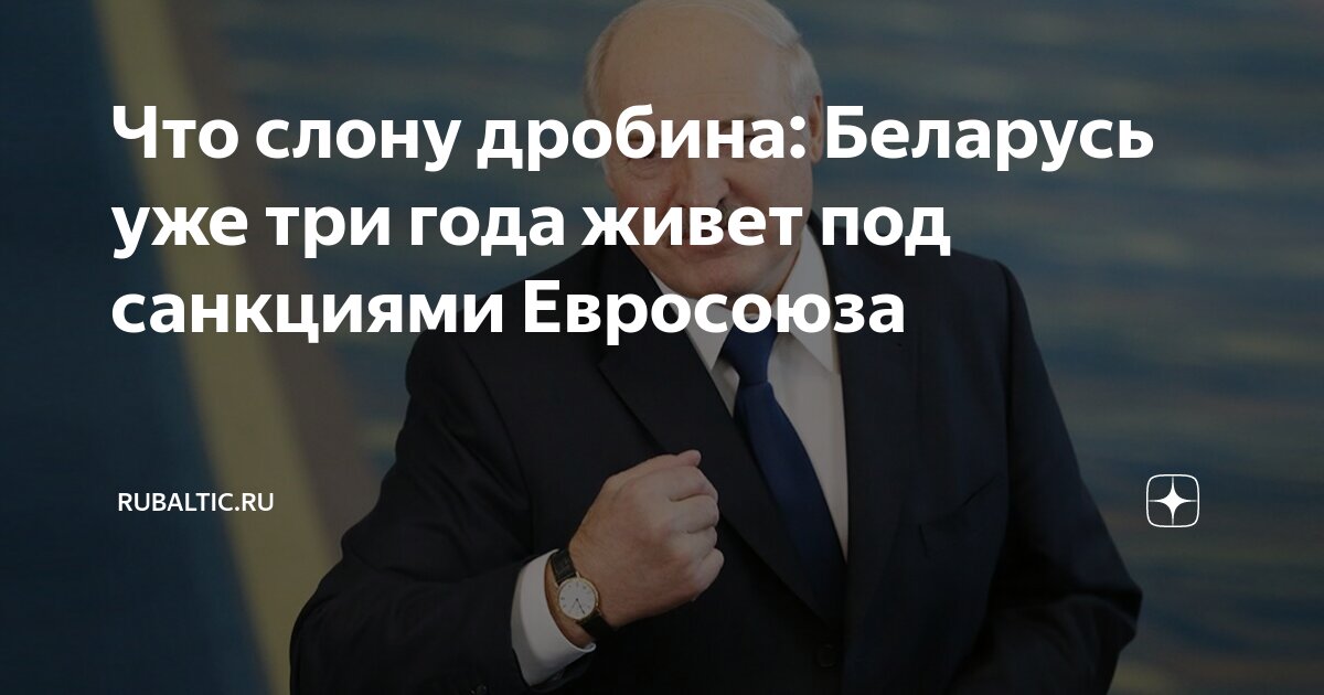 Что слону дробина: Беларусь уже три года живет под санкциями Евросоюза ...