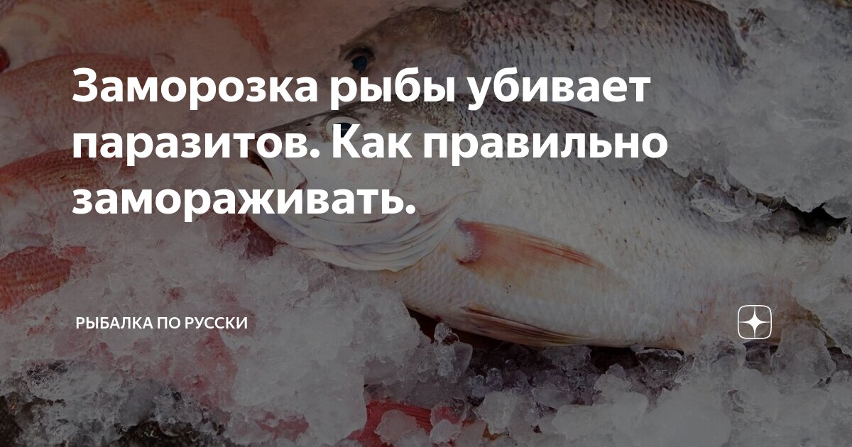Заморозка рыбы убивает паразитов. Как правильно замораживать.