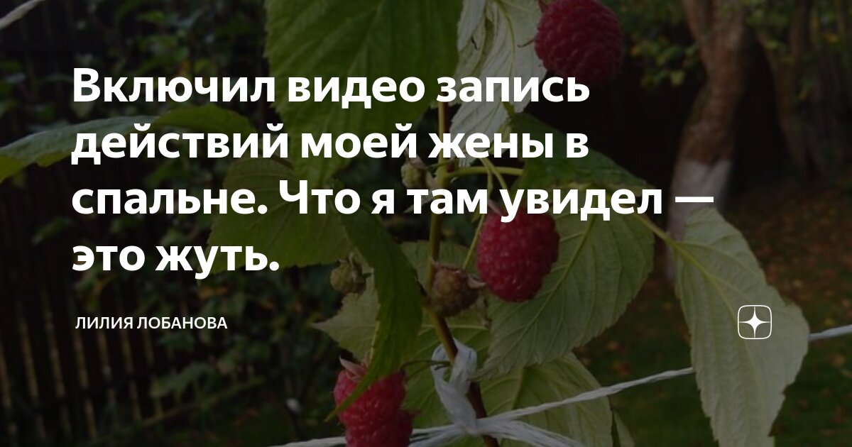 Ура. Купили кровать - быстрая доставка - они уже дома. Спорю с женой про шкаф в спальне