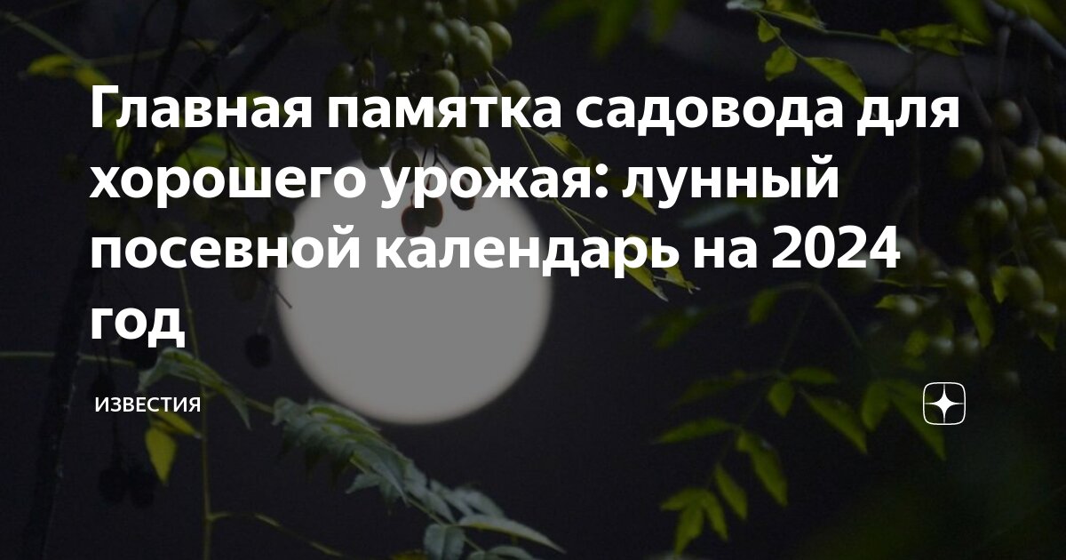 Лунный календарь посева семян на 2024 год для Беларуси: таблица посадок по месяцам