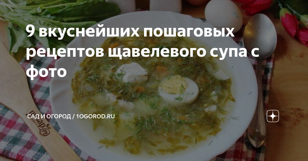 Щавелевый суп с курицей (классический рецепт)